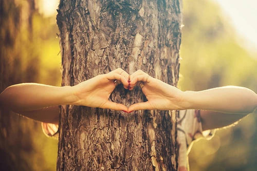 Atelier sylvothérapie : prenez un bain de forêt ! (Frontignan)