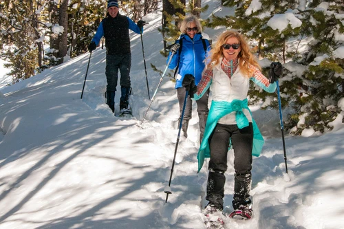 Randonnée en raquettes à neige - février (Mont Aigoual - 30)