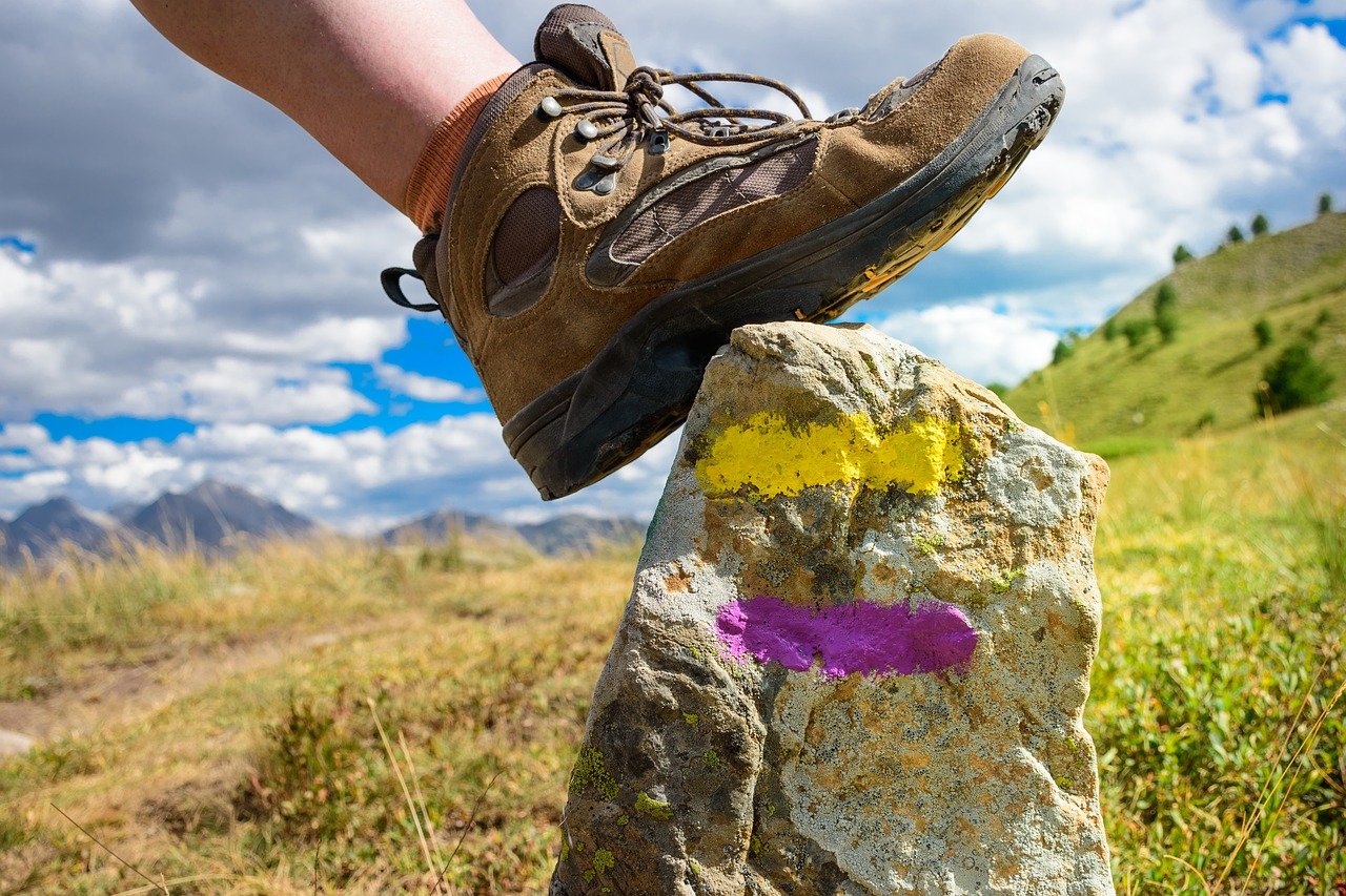 Activités respectueuses de l'environnement