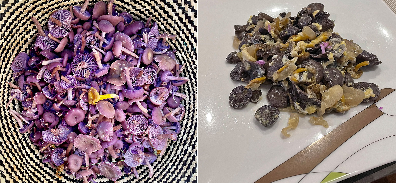 Champignons violets & poëlée