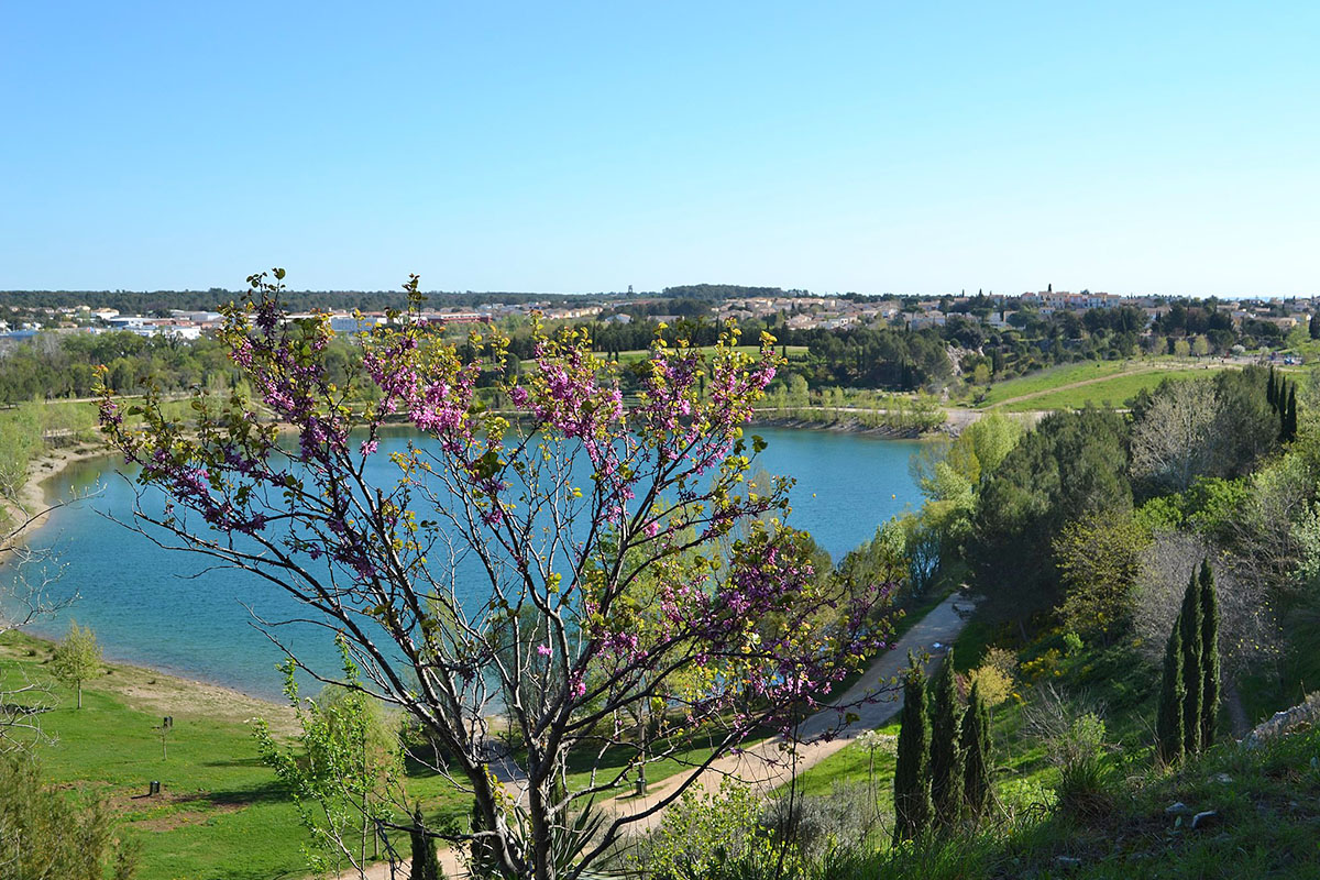 Le Lac du Crès dans l'Hérault