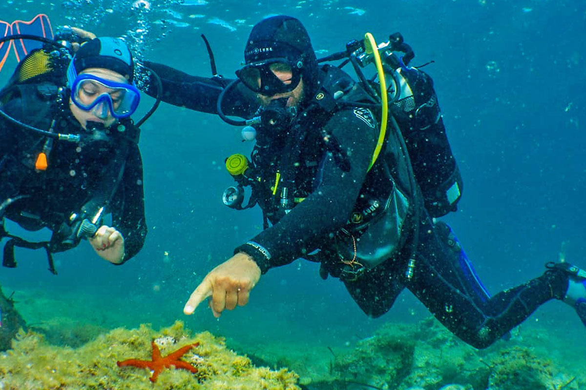 Galerie-image-Baptême de plongée sous-marine