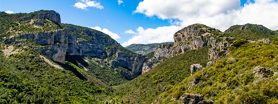 Que faire à Saint-Guilhem-le-Désert Hérault