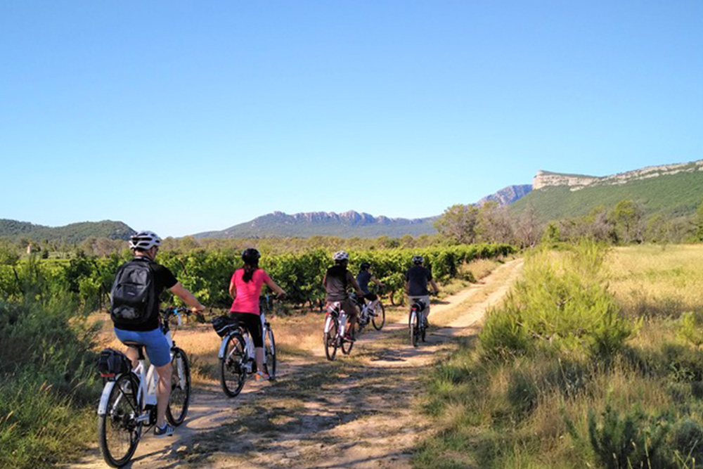 Galerie-image-Escapade à VTT électrique avec dégustation de vins du Pic St Loup