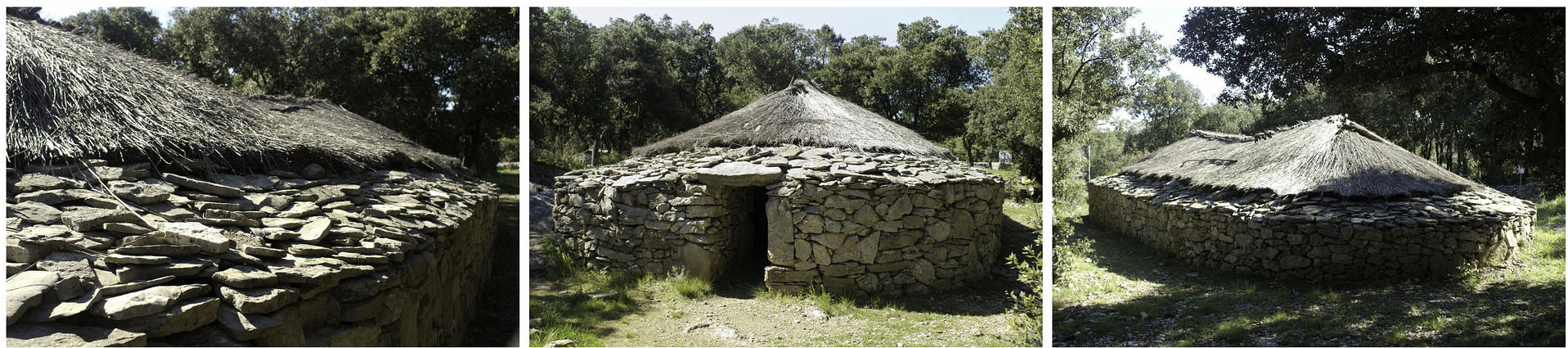 Site préhistorique de Cambous à Viols-en-Laval Hérault