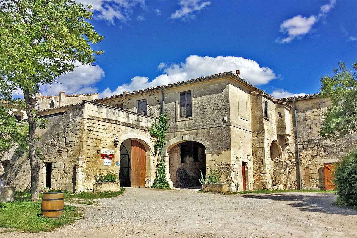 Galerie-image-Oenotourisme : visite de cave, du vignoble & dégustation de vins