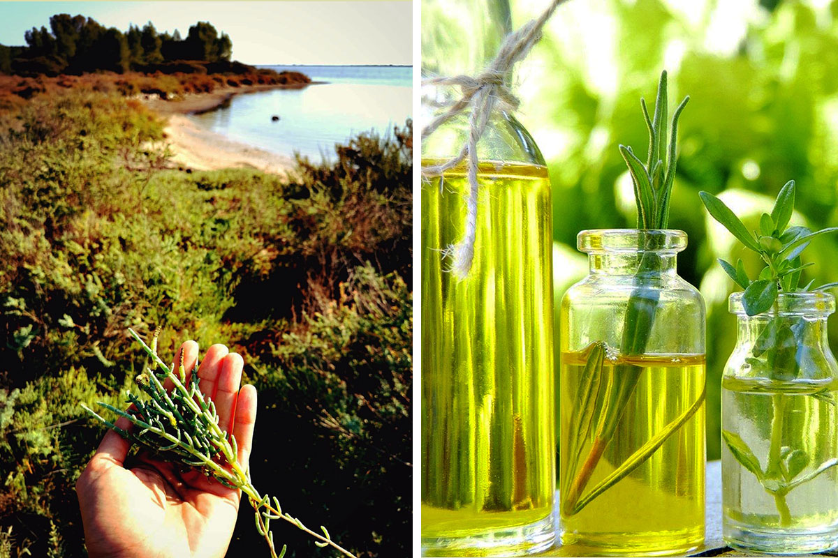 Balade huiles essentielles : initiation à l’aromathérapie