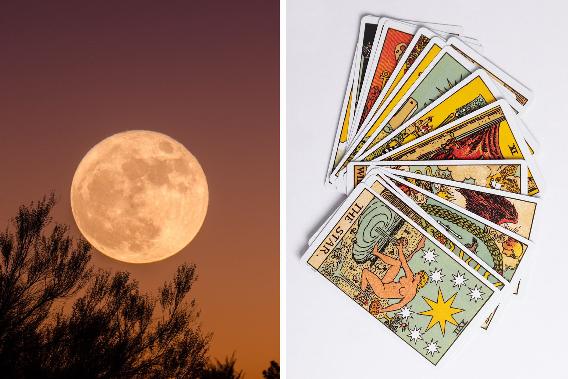 Galerie-image-Cercle de la Pleine Lune