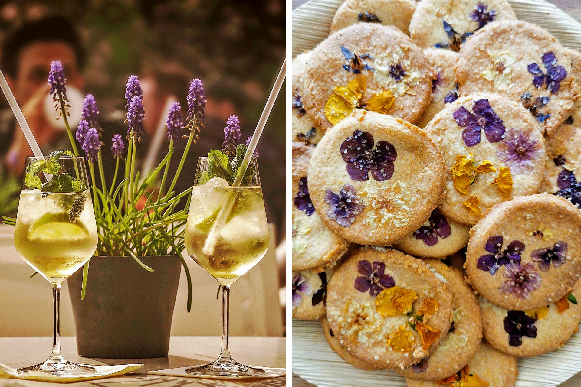 Afterwork : apéro végétal & aromathérapie