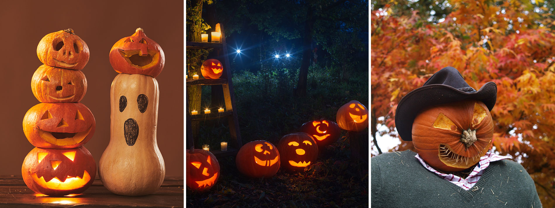 Déco d'Halloween avec des citrouilles