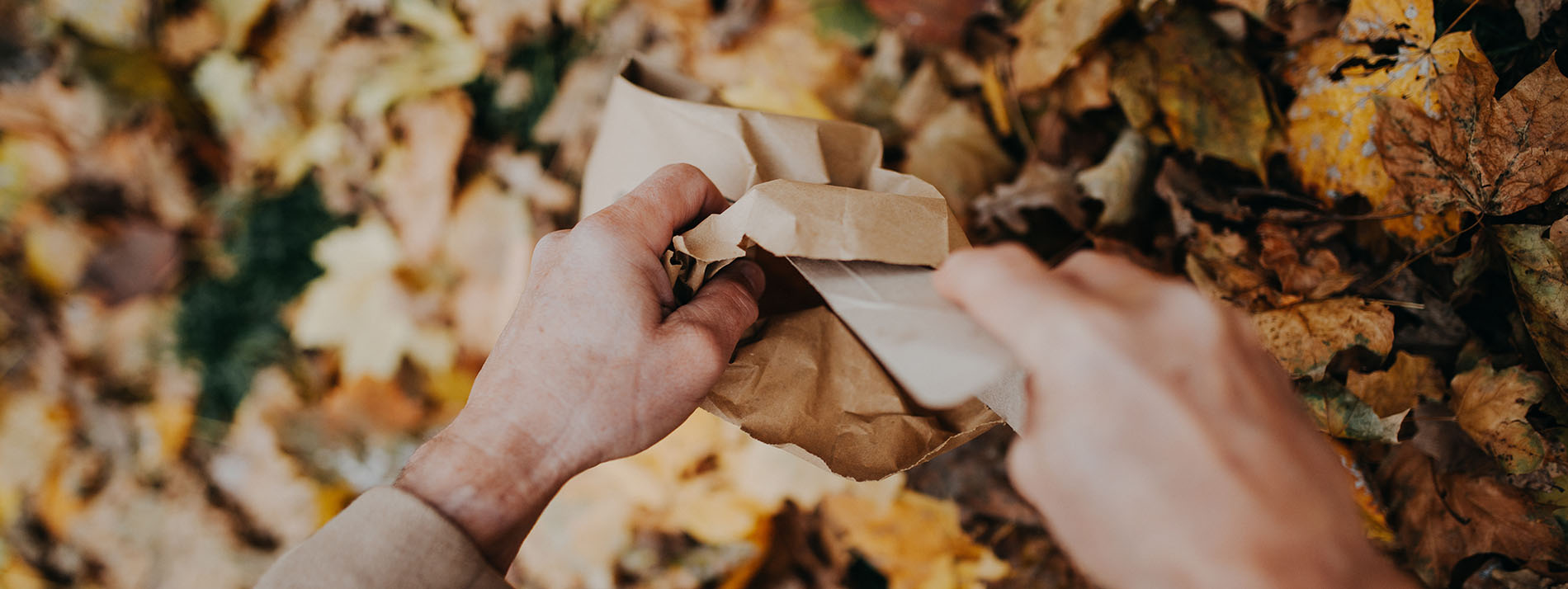 Feuilles pour déco Halloween