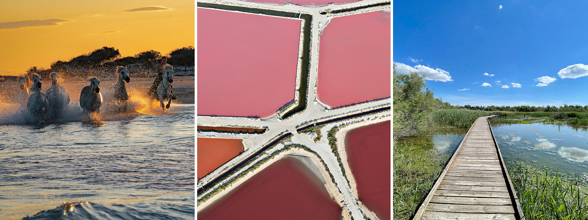 Les sites naturels incontournables de la petite Camargue dans le Gard