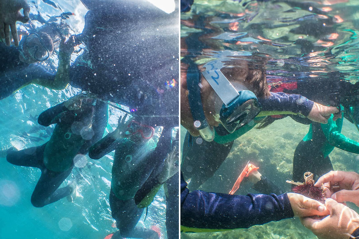 Galerie-image-Sortie snorkeling : randonnée palmée en Méditerranée