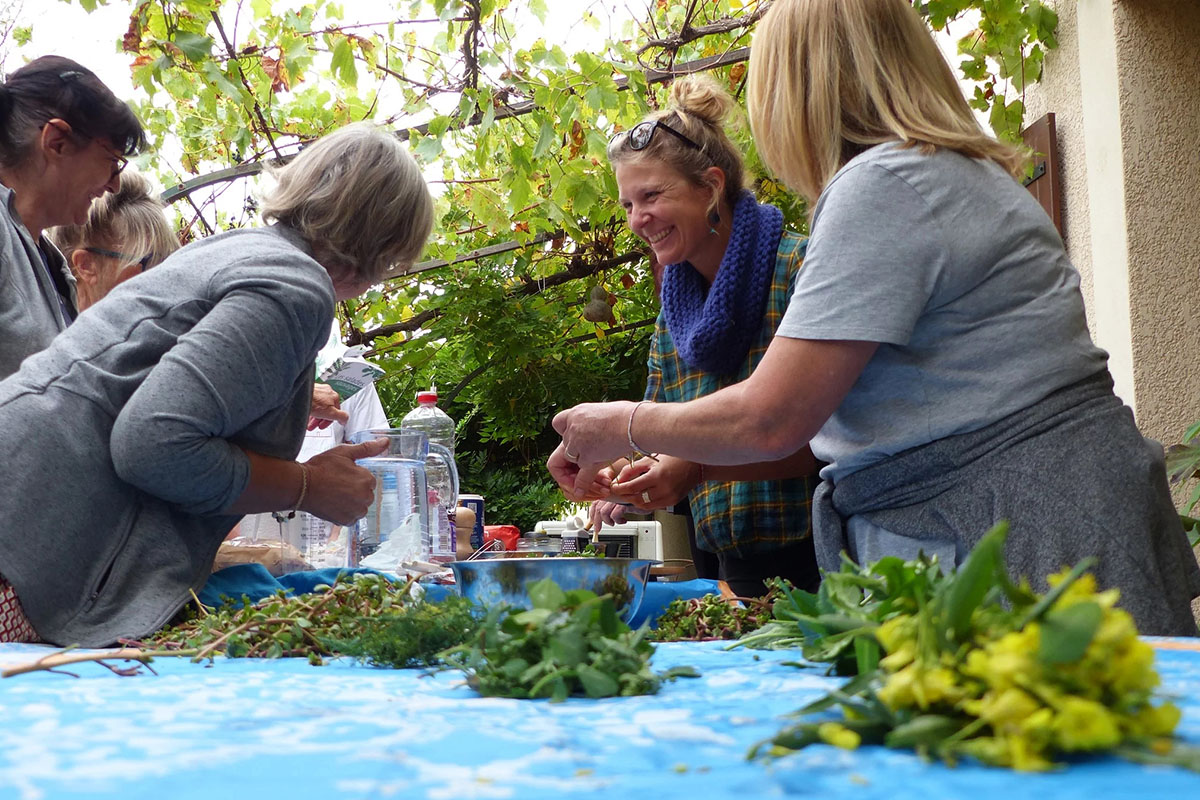 Galerie-image-Atelier cuisine plantes sauvages et dégustation de vin