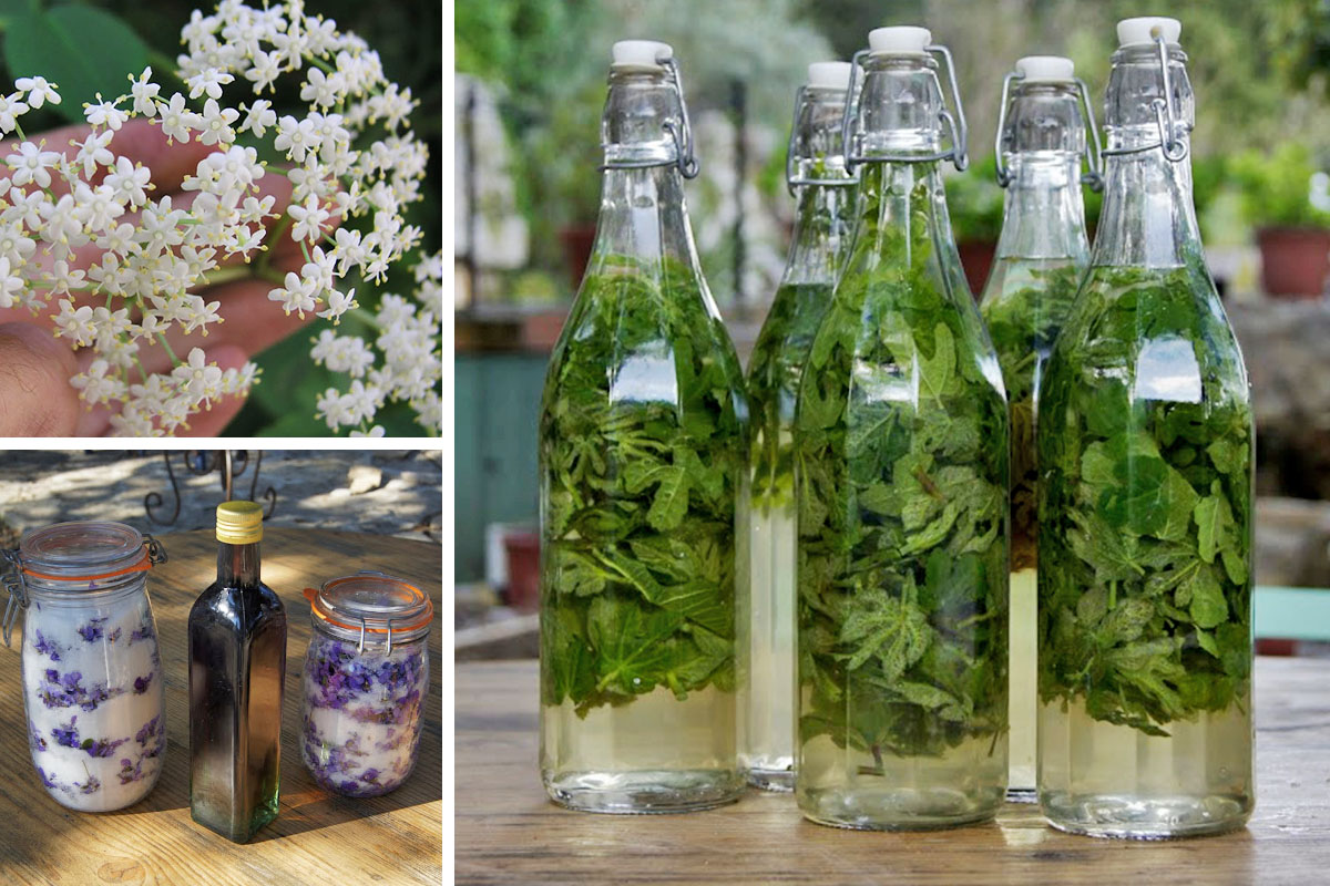 Atelier cuisiner avec les fleurs