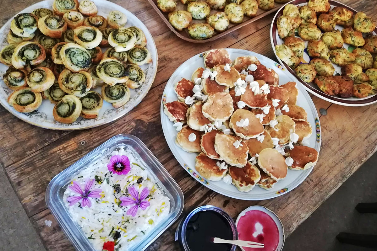 Galerie-image-Atelier plantes sauvages comestibles et dégustation de vins