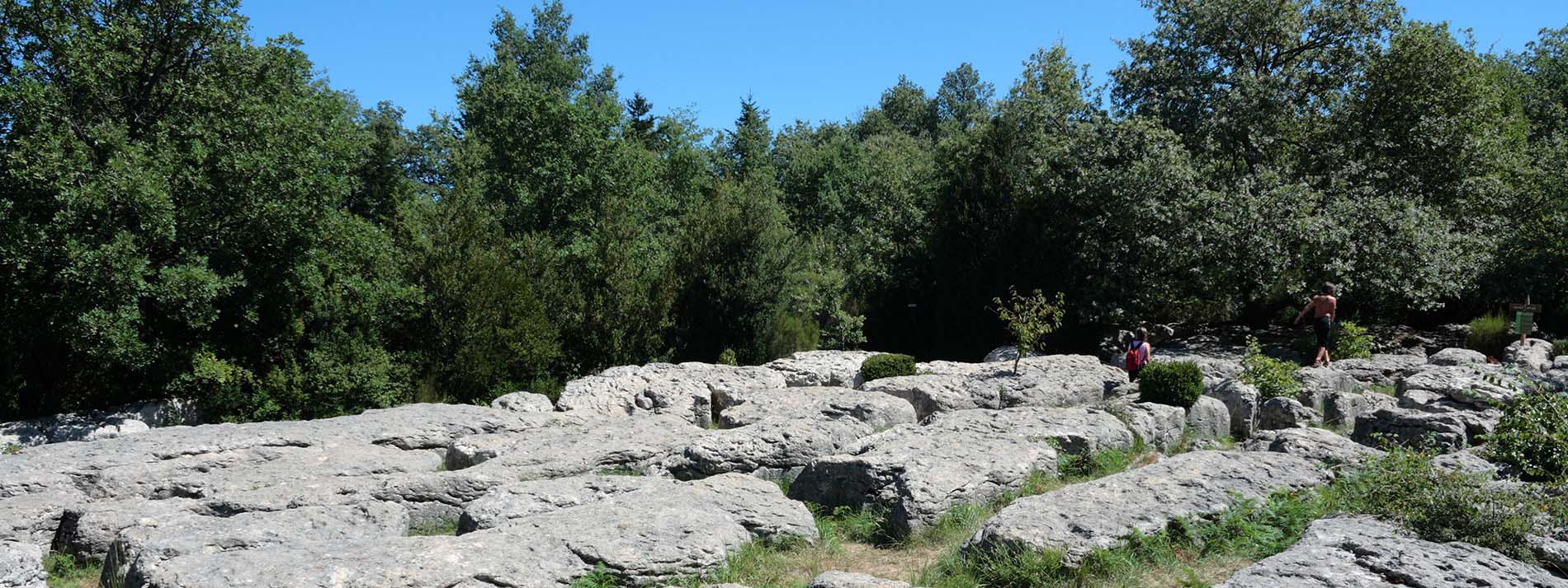 Randonnée Aude : Le sentier du labyrinthe vert