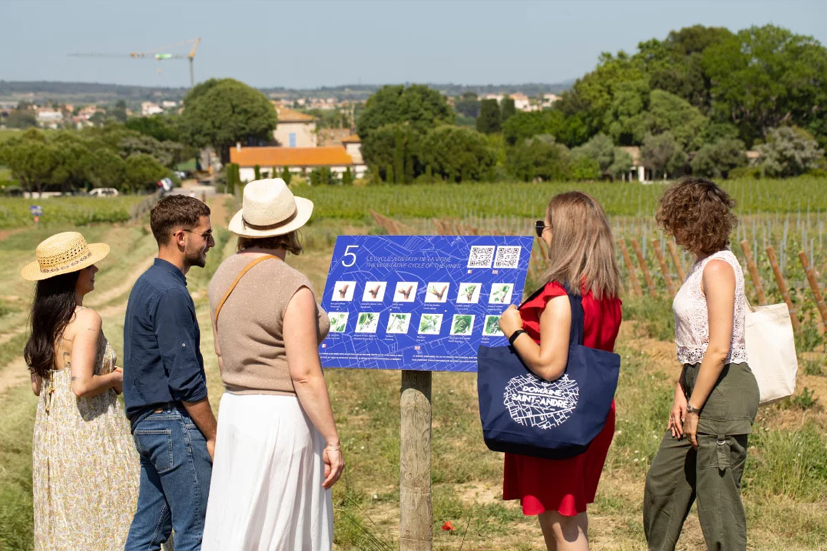 Galerie-image-Oenotourisme : visite guidée & dégustation de vins