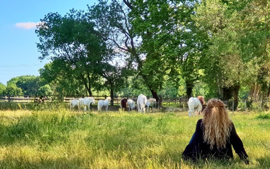 Atelier reconnexion à soi grâce au cheval