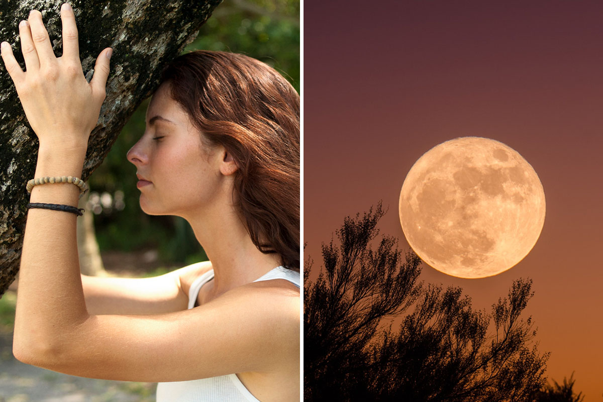 Bain de forêt : spécial super full moon