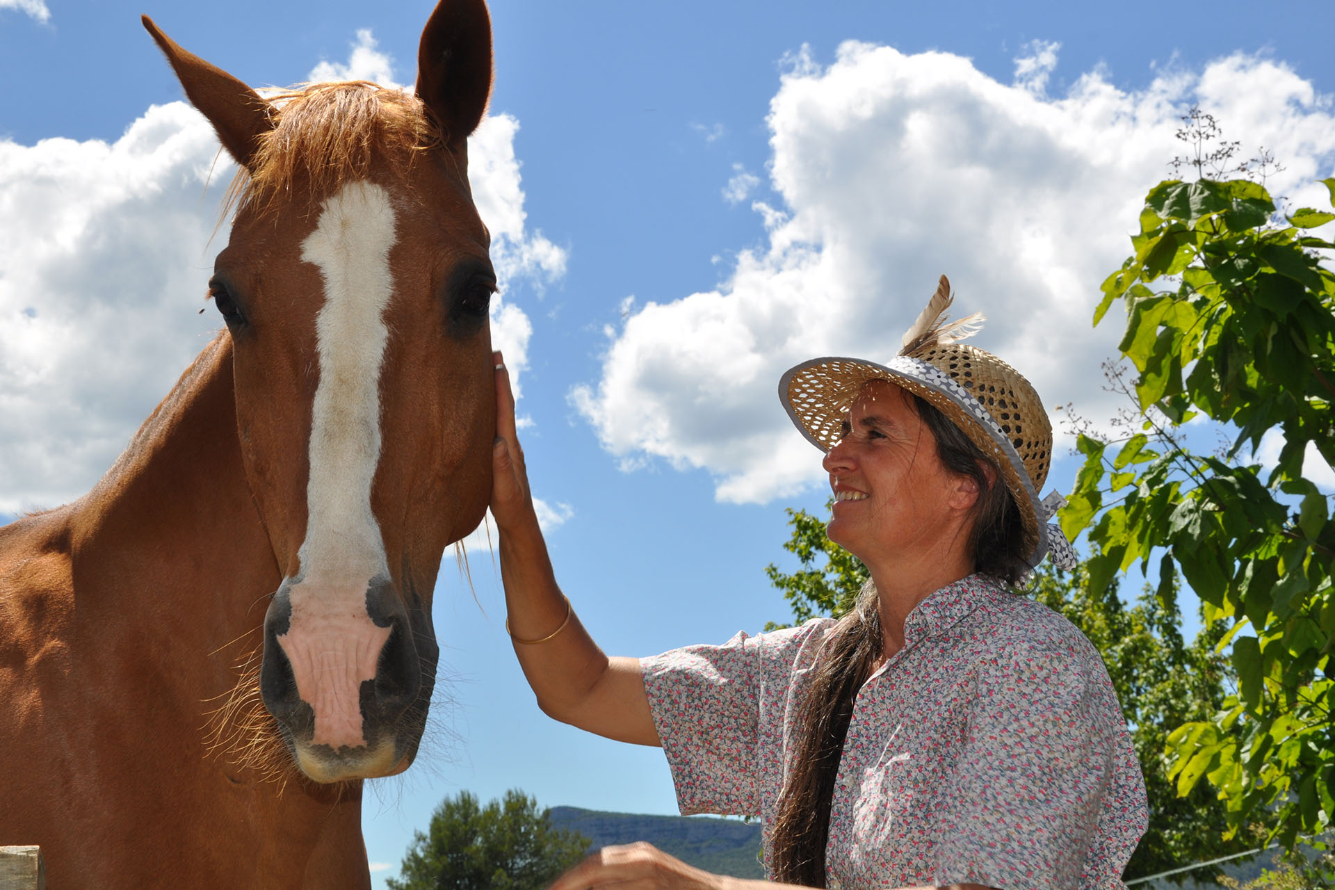 Cheval énergies : 2 jours de reconnexion au contact du cheval
