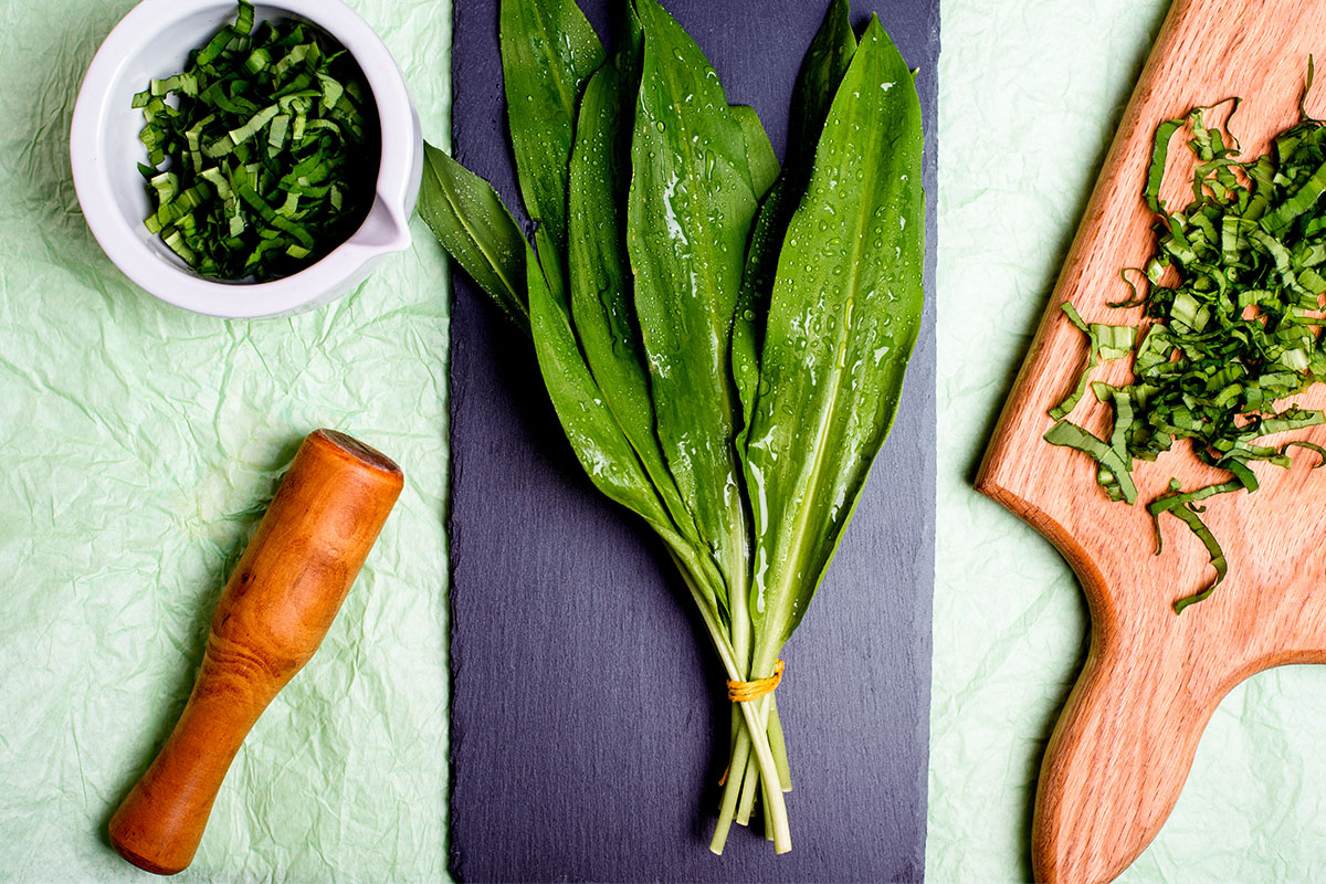 Apéro sauvage : cueillette et atelier cuisine avec les plantes sauvages