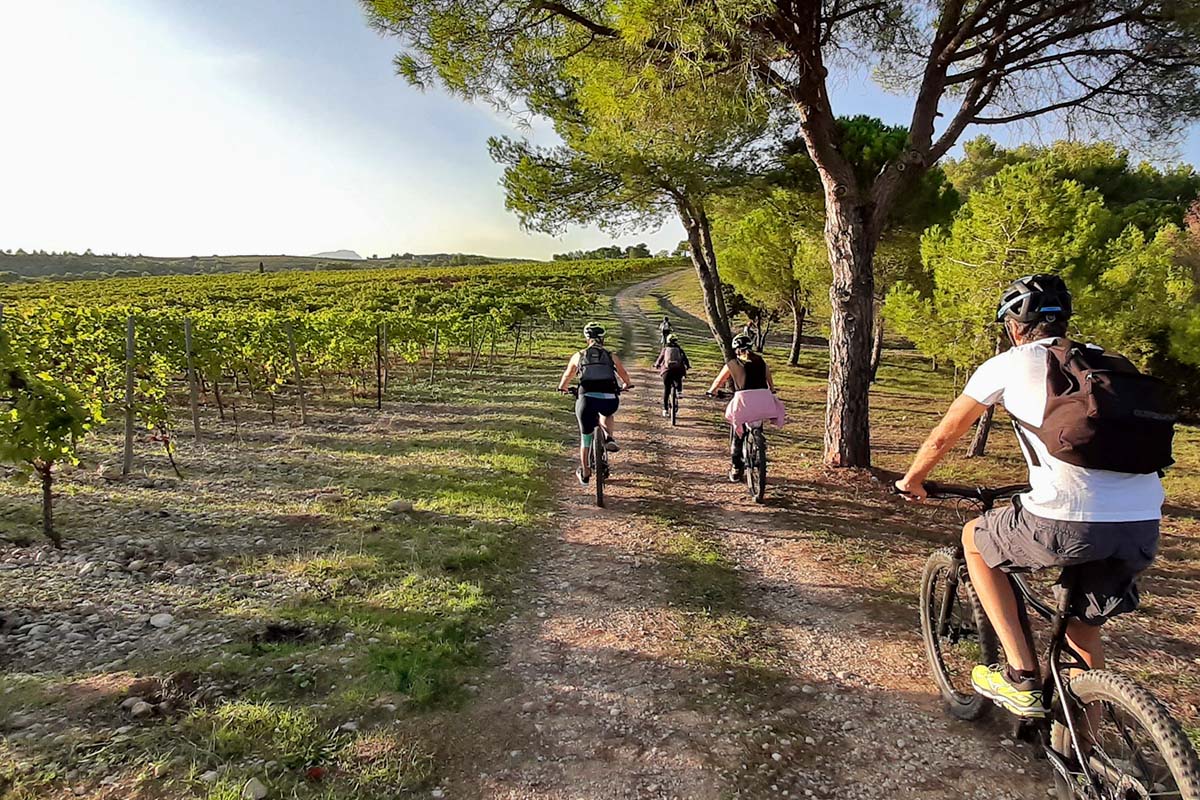 Winetour guidé en VTT électrique
