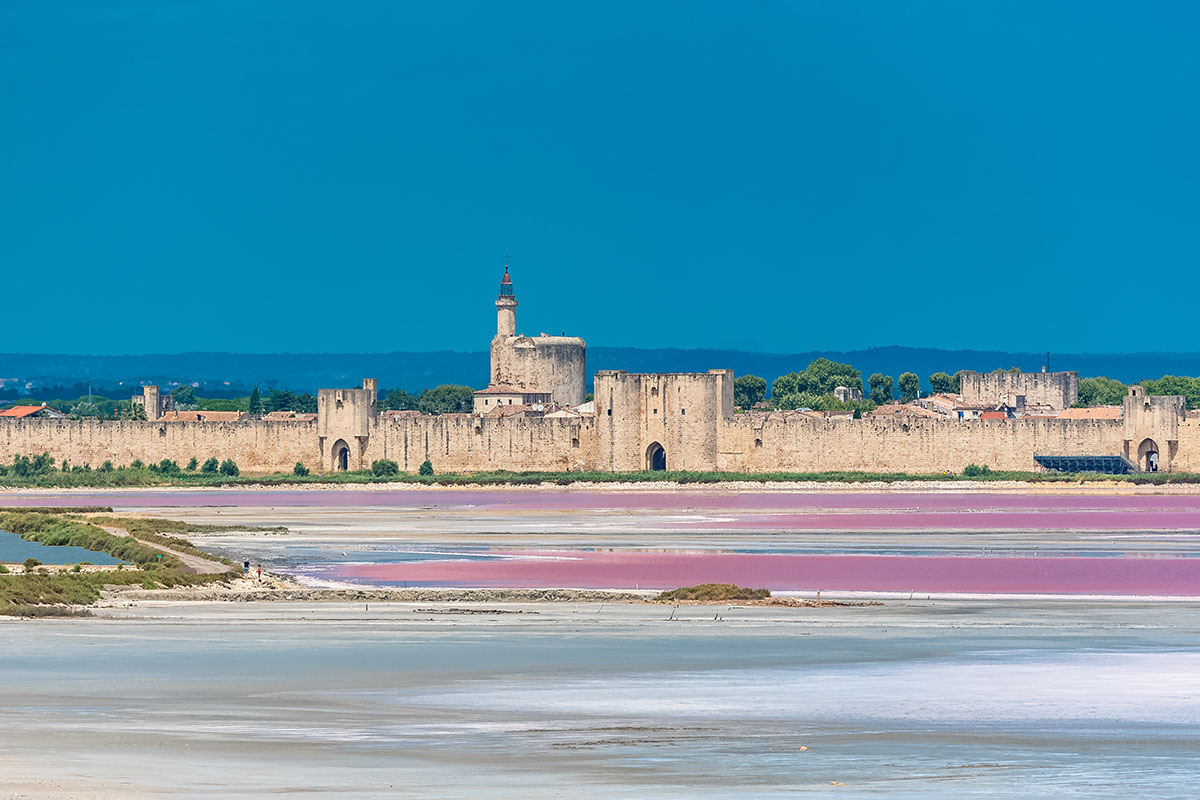 Galerie-image-Immersion en Camargue : manade, salins, vignobles & produits du terroir