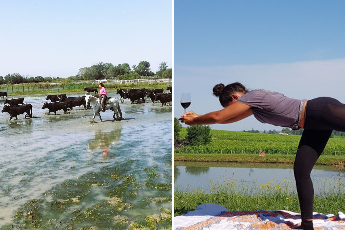 Immersion en Camargue & méditation