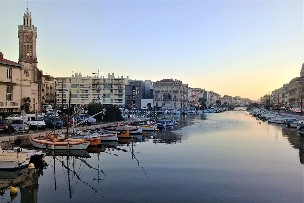 Galerie-image-La vie marine de la Venise du Languedoc