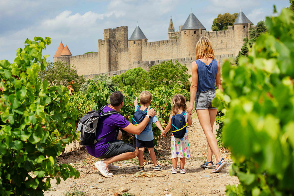 Famille dans les vignes au bord de la Cité de Carcassonne dans l'Aude