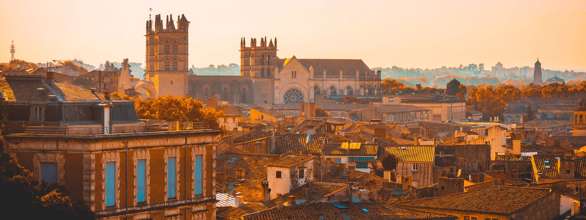 J’ai testé pour vous la visite de Montpellier maléfique