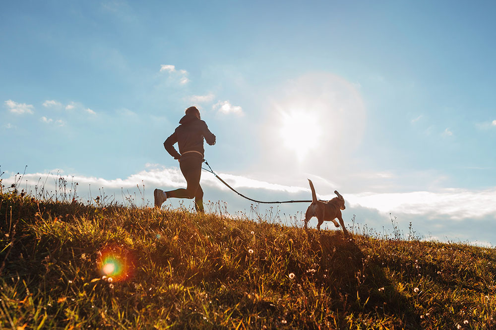 Stage canitrail et bien-être canin