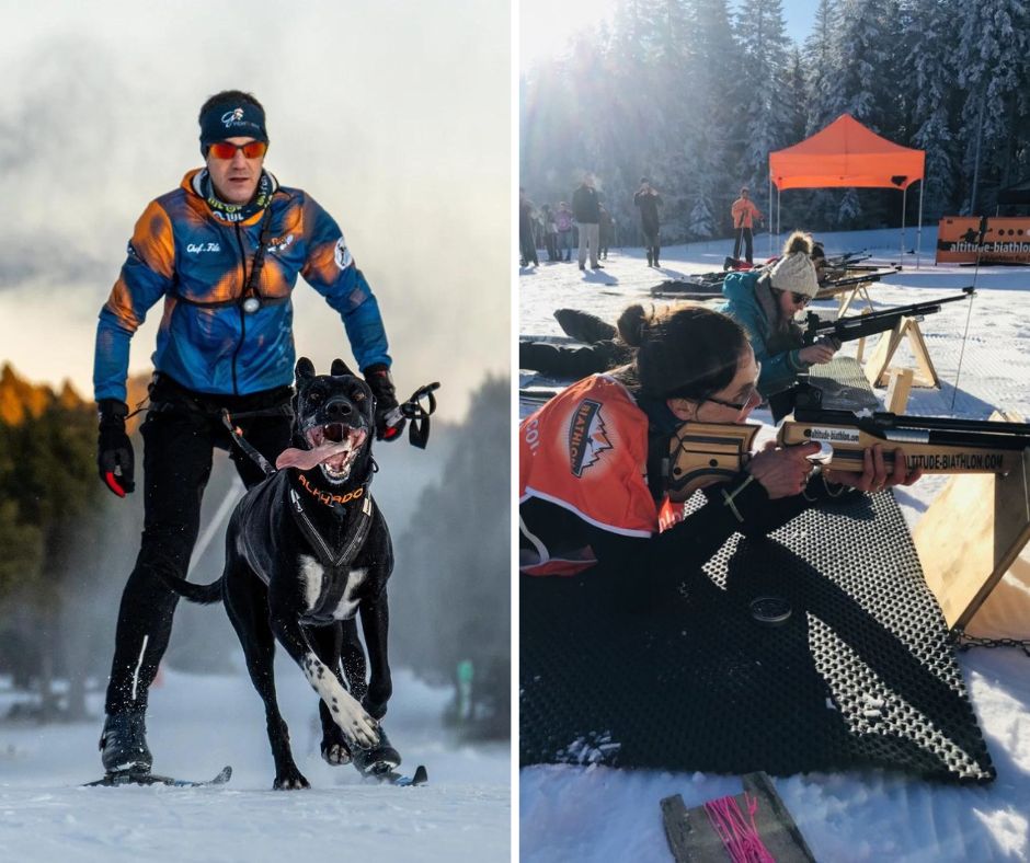 Stage sports canins dans le Vercors