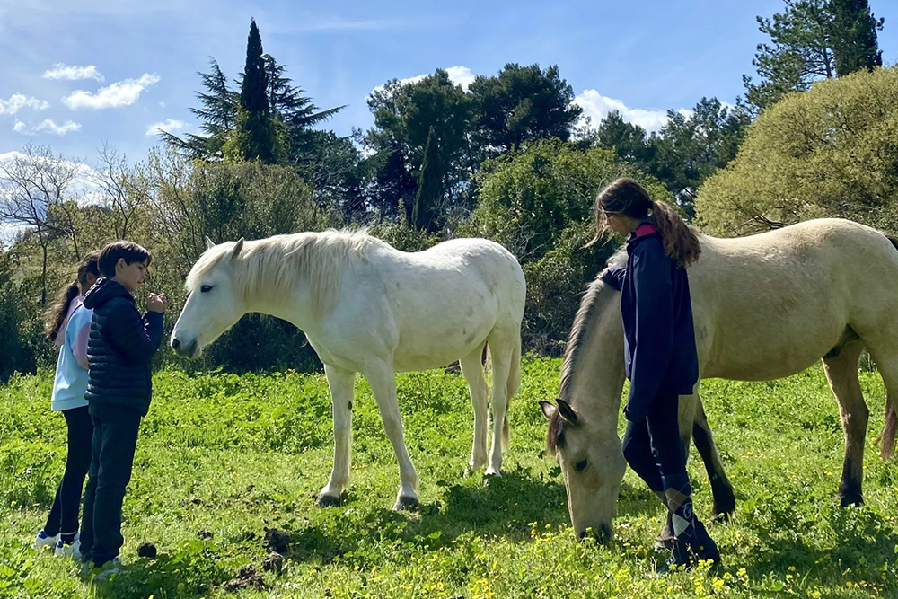 Galerie-image-Journée equicoaching pour les 9-13 ans : Confiance en soi et Estime de soi