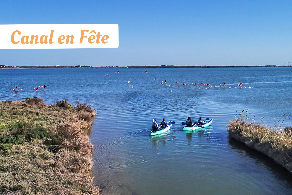 Galerie-image-Canal en Fête : Balade en kayak avec les flamants roses