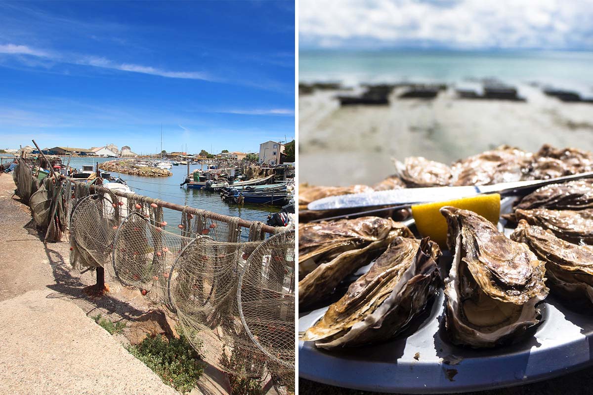 Excursion à l’étang de Thau : visite de Sète & dégustation d’huîtres