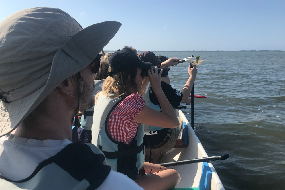 Galerie-image-Éco-tour en canoë géant en Petite Camargue
