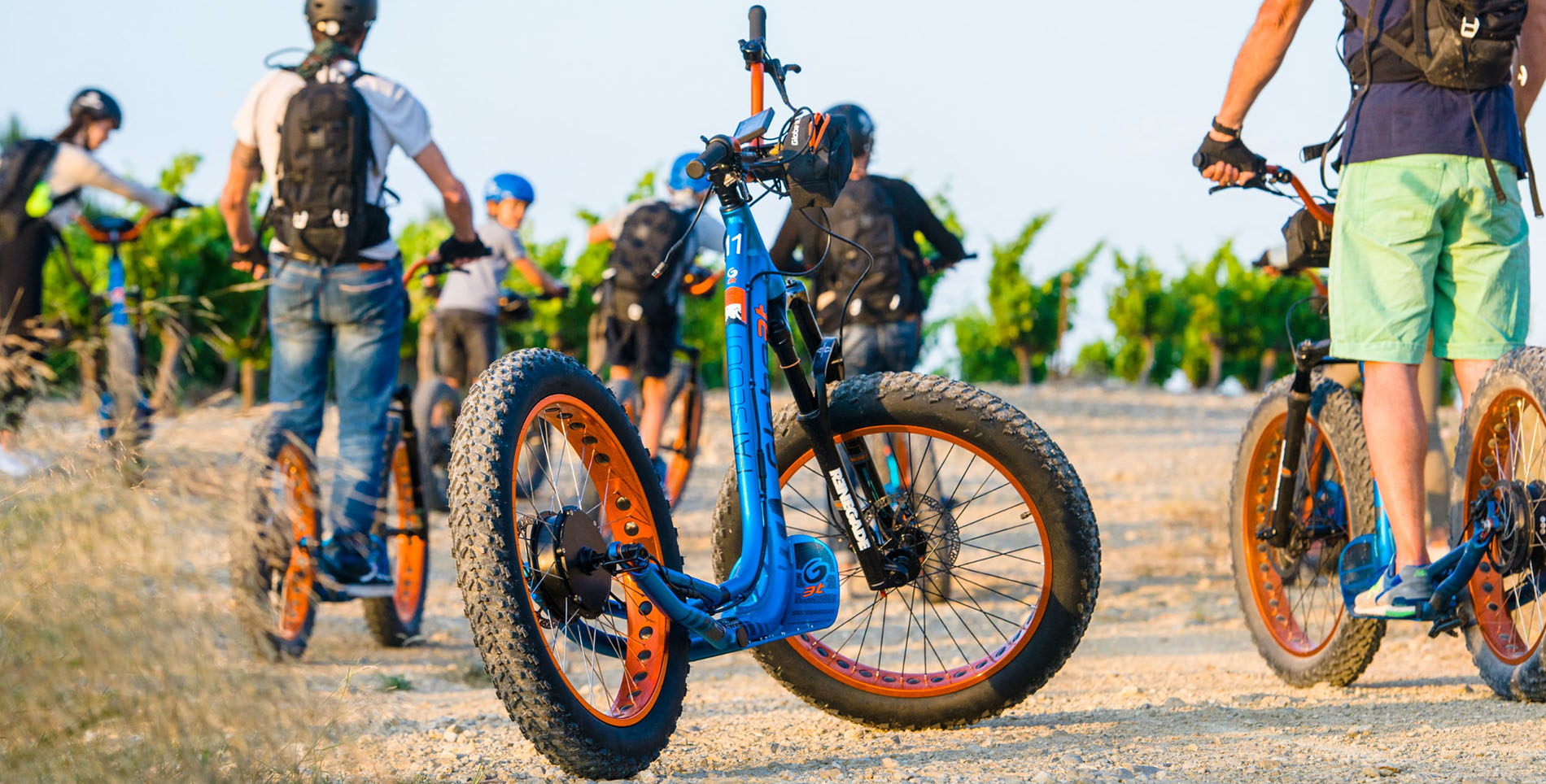 Trottinette électrique tout-terrain au milieu des vignes